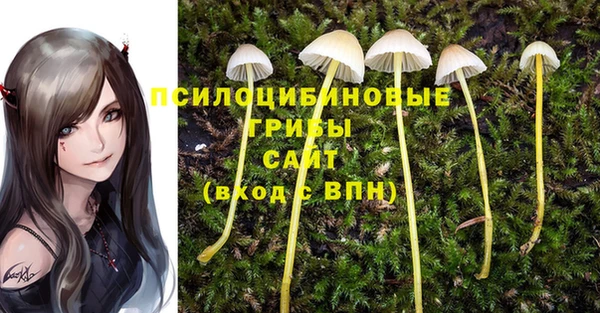 соль курить ск Осинники